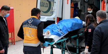 Kocaeli'de Kozalak Toplarken Bütün Vücudu Yandı