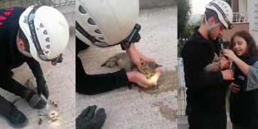 Kocaeli'de Yavru Kediyi Kalp Masajıyla Hayata Döndürdü!