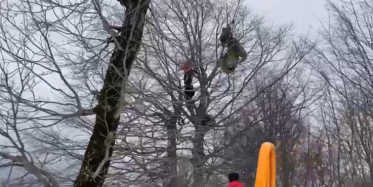 Kocaeli'nde Yamaç Paraşütü Yaparken Ağaçta Asılı Kaldı