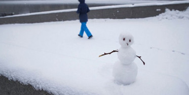 Kardan Adamı Tekme ve Yumrukla Yıkıp Kaçtılar