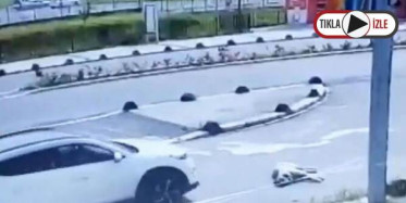 Maltepe'de Hayvan Katliamı