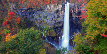Koronavirüs Stresini Bu Şekilde Atıyorlar