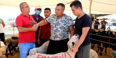 Koyunun İsmini Görünce Dayanamadı Hiç Düşünmeden Satın Aldı!