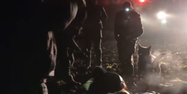 Litvanya’da İnsanlık Dramı: Göçmenlerin Üzerine Köpek Saldılar