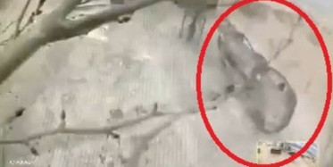 Lodos Araba ve Kamelyayı Uçurdu!