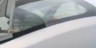 Başı Hoparlör Boşluğuna Sıkışan Köpek Hayvanseverleri Üzdü