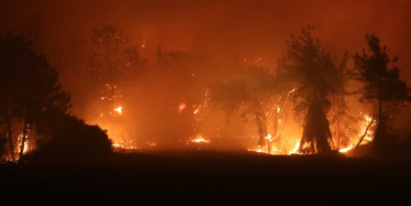 Manavgat'ta Çıkan Yangında Bir Çiftçi Yaşadığı Zorlukları Anlattı