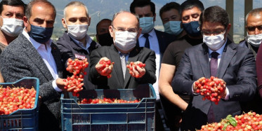 Manisa'da Sezonun İlk Kirazı 500 TL'den Satıldı