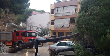 Manisa'da Şiddetli Yağış Su Baskınına Dönüştü
