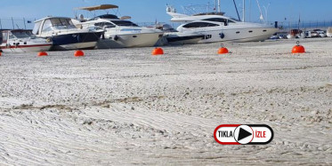 Marmara Denizi'ndeki Deniz Salyası Yakından Görüntülendi: Betonla Kaplı Gibiydi