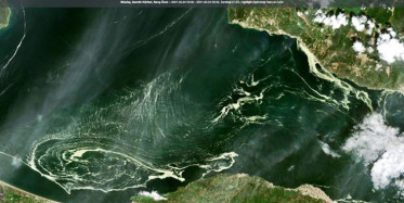 Marmara Denizi'ni Kaplayan Deniz Salyası Böyle Görüntülendi