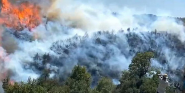 Marmaris'te Ölüm Kalım Mücadelesi Kameralara Anbean Kaydedildi