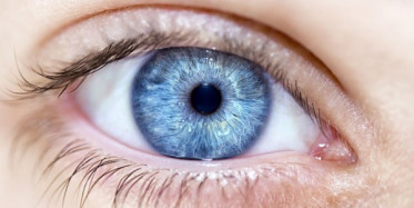 Mavi Gözlü İnsanlar Hakkında Şoke Eden Gerçek!