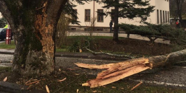 Meclis Bahçesine Yıldırım Düştü