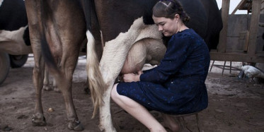 Mennonitlerin Şaşırtan Yaşam Gerçekleri!
