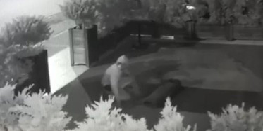 Mersin'de Halı Hırsızı Kamerada