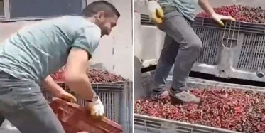 Meyve Suyu Üretim Tesisinden Mide Bulandırıcı Görüntü! Ayakkabısıyla Çiğnedi...