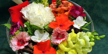 Mucizevi Faydaları Olan Yenilebilir Çiçekler