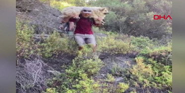 Muğla'da Bulunan Kayıp Köpeği Ekipler Sırtında Taşıdı