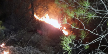 Muğla'da Çıkan Yangında 29 Hektar Zarar Gördü