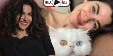 Nesrin Cavadzade Kedisini Ağırlık Olarak Kullandı