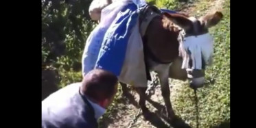 Eşek ile Eşek Olan Yurdum İnsanı