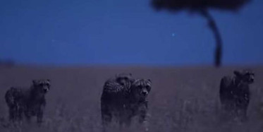 Netflix Dünya'da Gece Belgeselinin İlk Fragman Yayınlandı