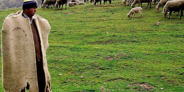 Çobanlık Mesleğini Anlatan Çonban