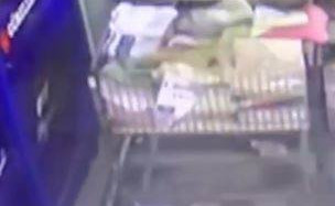 Başıboş Gezen Pitbull, 2 Yaşındaki Çocuğa Saldırdı