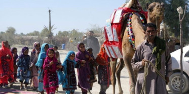 Pakistan'dan Dev Hizmet: ‘Gezici Deve Kütüphane’ Çocukları Kitaplara Kavuşturdu
