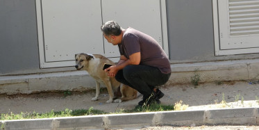 Paylaşım Rekorları Kıran Videonun Ardından Hayvansever Özay Kaya Açıklamalarda Bulundu