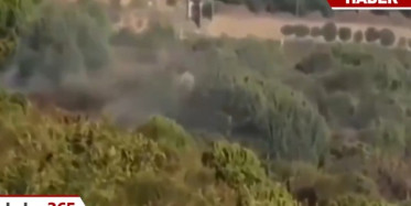 Pendik'teki Orman Kudaklama Anları Kameralara Yansıdı