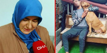 Pendik’te Genç Çocuk Yüzerken Pitbull Saldırısına Uğrayıp Hayatını Kaybetti