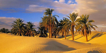 Peygamber Efendimiz'i Ağlatan O Hikaye!