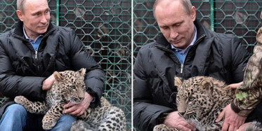 Vladimir Putin'in Leopar Sevgisi