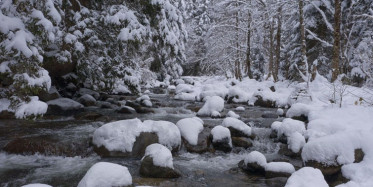 Rize'de Kar Yağışı Etkili Oldu