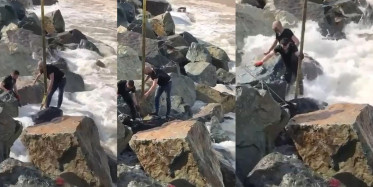 Rize'de kurbanlık pazarından kaçan boğa denize düştü! Vatandaşlar ve ekipler seferber oldu!