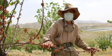 Robinson Ziya Dede Üzücü Haberi Verdi!