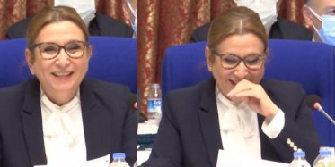 Meclis Plan ve Bütçe Komisyonu Toplantısına Kedi Girdi!