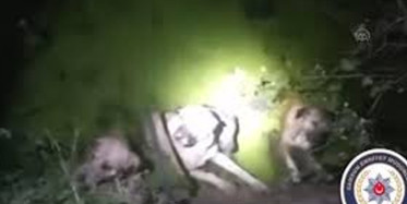 Samsun Polisi Boğulmak Üzere Olan Köpekleri Kurtardı
