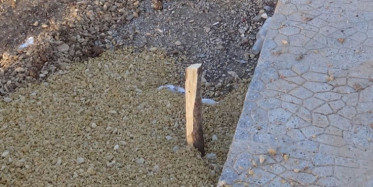 Semaveri Yakmak İçin Fidan Kesti