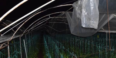 Antalya'da Hortum Seraları Vurdu!