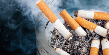 Sigaranın Vücudumuzda Yol Açtığı Zararlar