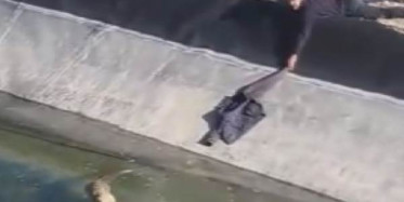 Sivas'ta Boğulmak Üzere Olan Tilkiye Kalp Masajı!