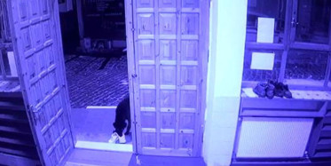 Sivas’ta Cemaatin Ayakkabısını Çalan Sevimli Hırsız Kameralara Yakalandı