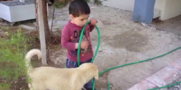 Sivas'ta Kendisini Kızdıran Köpeği Isırdı