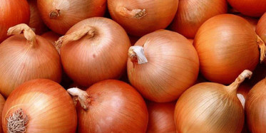 Soğanı Kesip Elinin Üstüne Koydu. Nedenini Öğrenince Aynısını Siz De Aynısını Yapacaksınız!