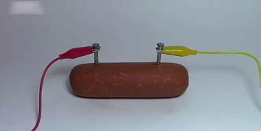 Sucuğa 220 Volt Elektrik Verirsen Ne Olur?