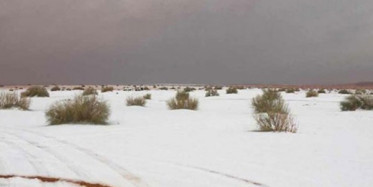 Suudi Arabistan'da Çöle Kar Yağdı