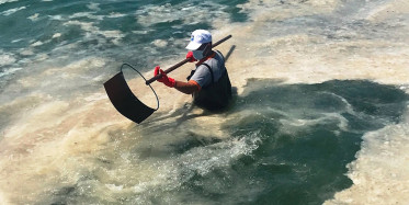 Tarımı Bitirdi Diyenlere Cevap Ceylanpınar'dan Geldi! 157 Biçerdöver ile Aynı Tarlada Hasatta Başladı